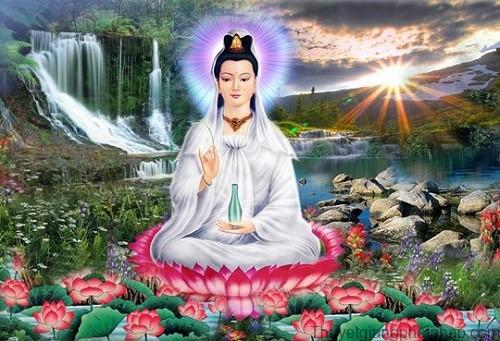 Nhạc Phật Pháp Chọn Lọc Hay Nhất