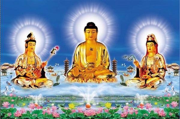 Mách Bạn Với Hơn 92 Hình Nền Động Phật Giáo 120 Hình Phật Động Ý Tưởng