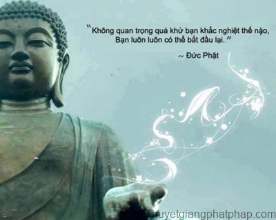 Phật Dạy Cách Để Cuộc Sống Của Bạn Hoàn Thiện Hơn