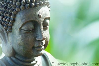 Những câu nói Phật dạy về cuộc sống - Hãy ghi nhớ 20 lời Phật dạy để có cuộc sống an nhiên - Cẩm Nang Bếp Blog